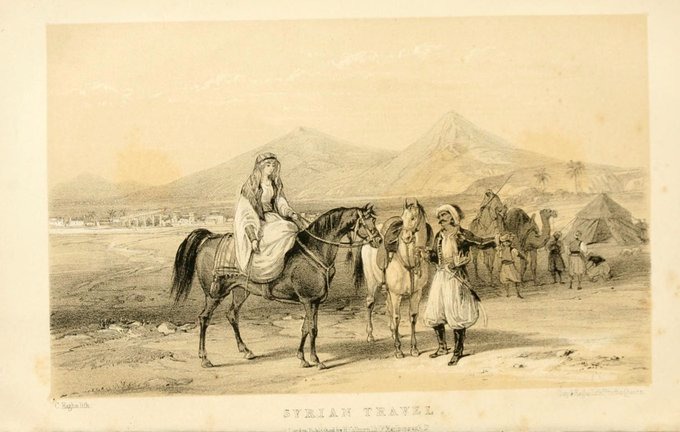 صورة تاريخية نادرة لخيول عنزه تتغذى على لبن الإبل