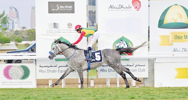 فوز الحصان "فخر" بلقب وصيف الخيول المبتدئة في سباق الخيل الإماراتي