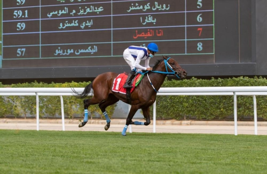 في ثاني انتصاراته.. الحصان "قافروش" يفوز بجائزة نادي سباقات الخيل التقديرية