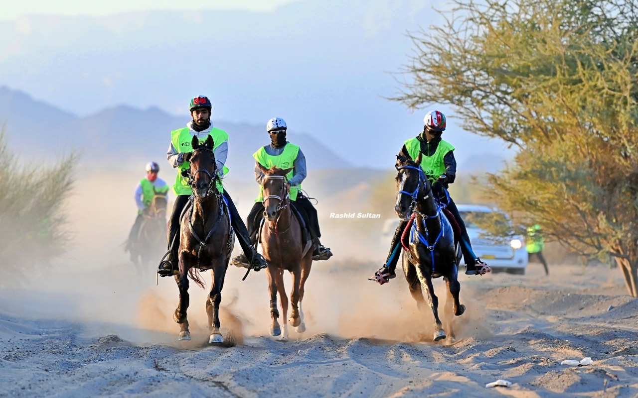 13 مارس.. انطلاق سباق "أوكسيدنتال" عمان للقدرة والتحمل