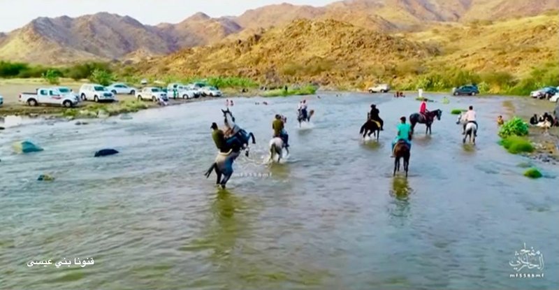 بالفيديو والصور.. فرسان يستعرضون مهارات ركوب الخيل في وادي قنونا بالسعودية