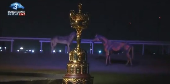 بالفيديو.. كأس دبي العالمي للخيول دون حضور جماهيري