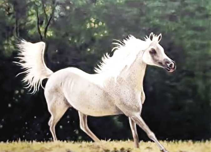 "الحصان شريك وصديق".. 88 لوحة عن الخيول بأشكال تشريحية مختلفة