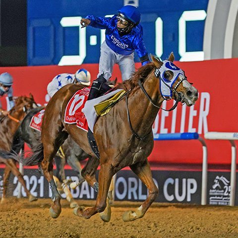 بطل كأس دبي العالمي.. 7 معلومات عن الحصان ميستيك غايد