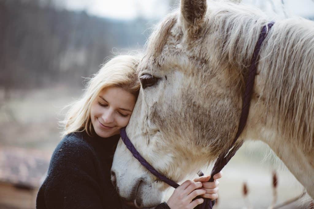 دراسة: راقب نبرة صوتك عندما تتحدث إلى الحصان
