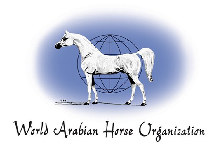 19 معلومة عن منظمة WAHO أبرزها تحسين نقاء الدّم للخيول العربية