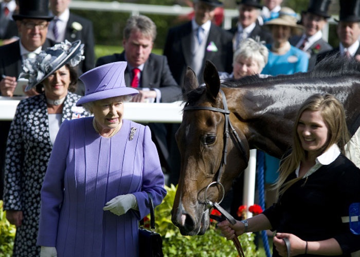 حاكم دبي يهدي "خيول سباق" لملكة بريطانيا " إليزابيث الثانية "