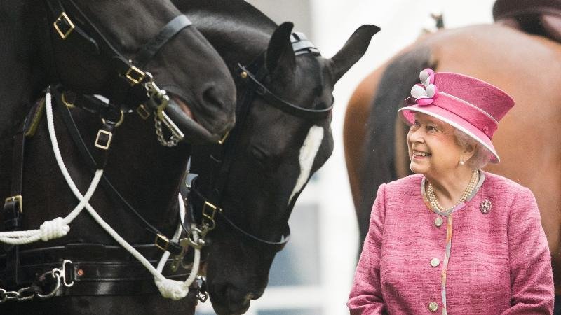 حاكم دبي يهدي "خيول سباق" لملكة بريطانيا " إليزابيث الثانية "