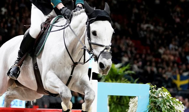 الاتحاد الدولي للفروسية يلغي بطولات في إسبانيا بسبب تفشي مرض هربس الخيول