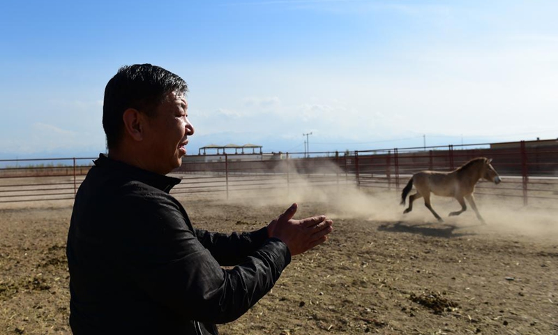 بالصور.. كيف نجح مركز تربية الخيول في الصين في وقف انقراض خيول برزوالسكي؟