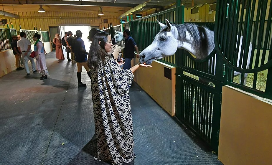5 صور تبرز جمال الحصان العربي بمزرعة سعودية