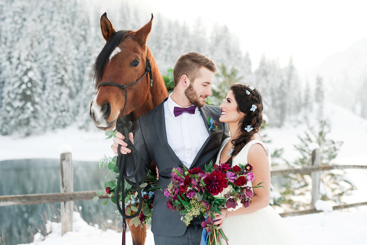 عندما تعشق الفروسية.. أجمل 20 صورة من حفلات زفاف محبي الخيول
