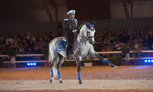 خيّالة الأمن المغربي نافست فرسان عالميين في معرض الخيول بإسبانيا