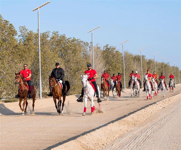 رياضة الفروسية بالبحرين تشهد تطور كبير في سباقات الخيول