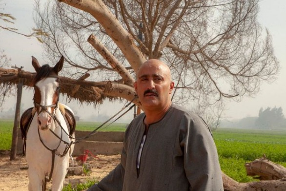 "جاهزين".. أحمد السقا يشارك متابعيه صورة برفقة حصان نسل الأغراب