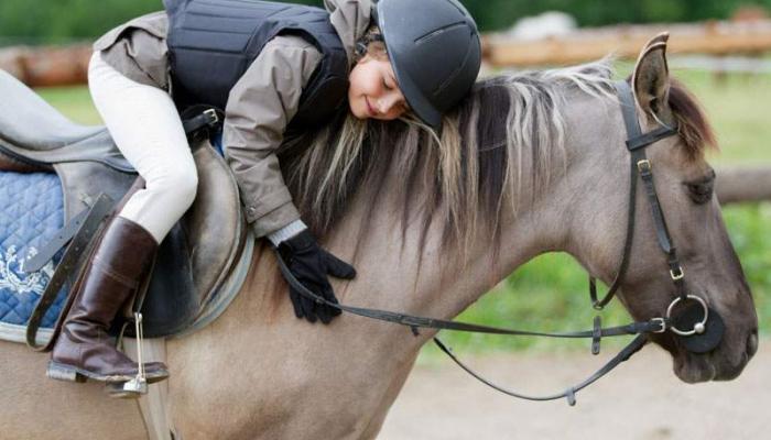 لماذا تستخدم الخيول في العلاج النفسي؟