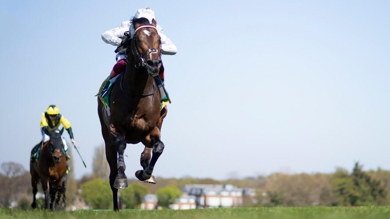 الحصان بالاس بيير يحقق أول إنجاز له في الموسم البريطاني