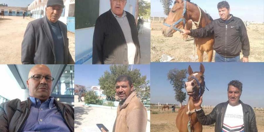 القيروان التونسية تواجه أزمة كبيرة في تربية الخيول.. تعرف على السبب