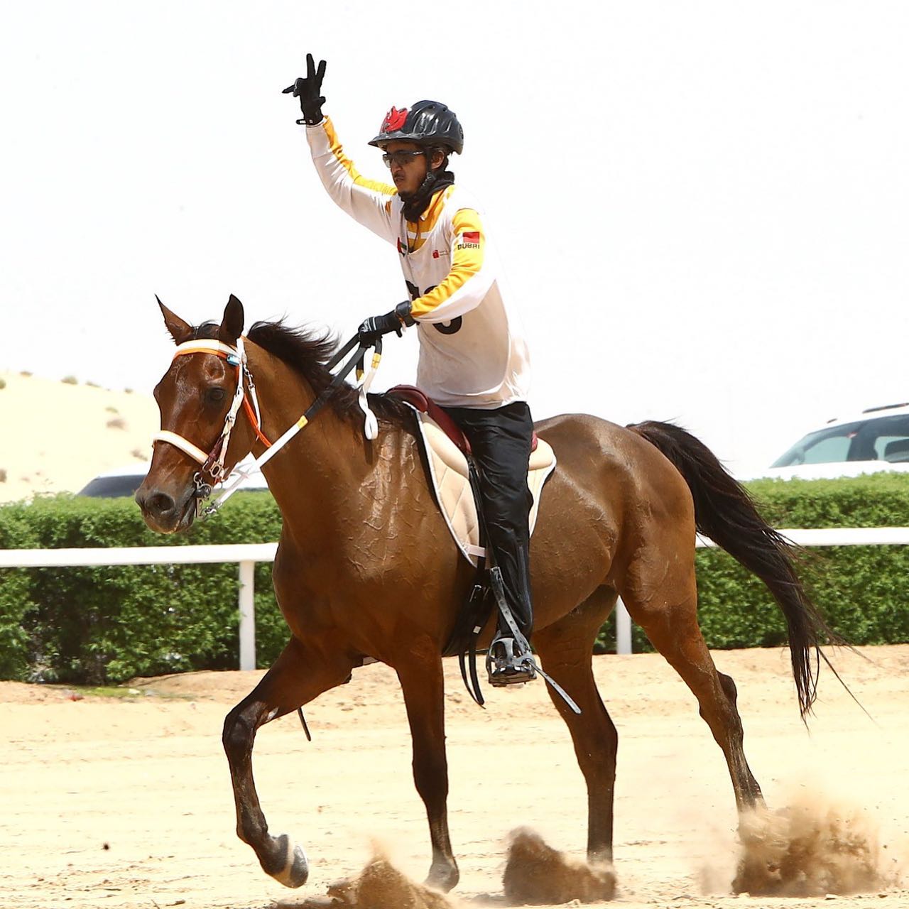 بالصور.. تتويج الفارس "الغيلاني" وحصانه شامخ بكأس المدربين الإماراتي