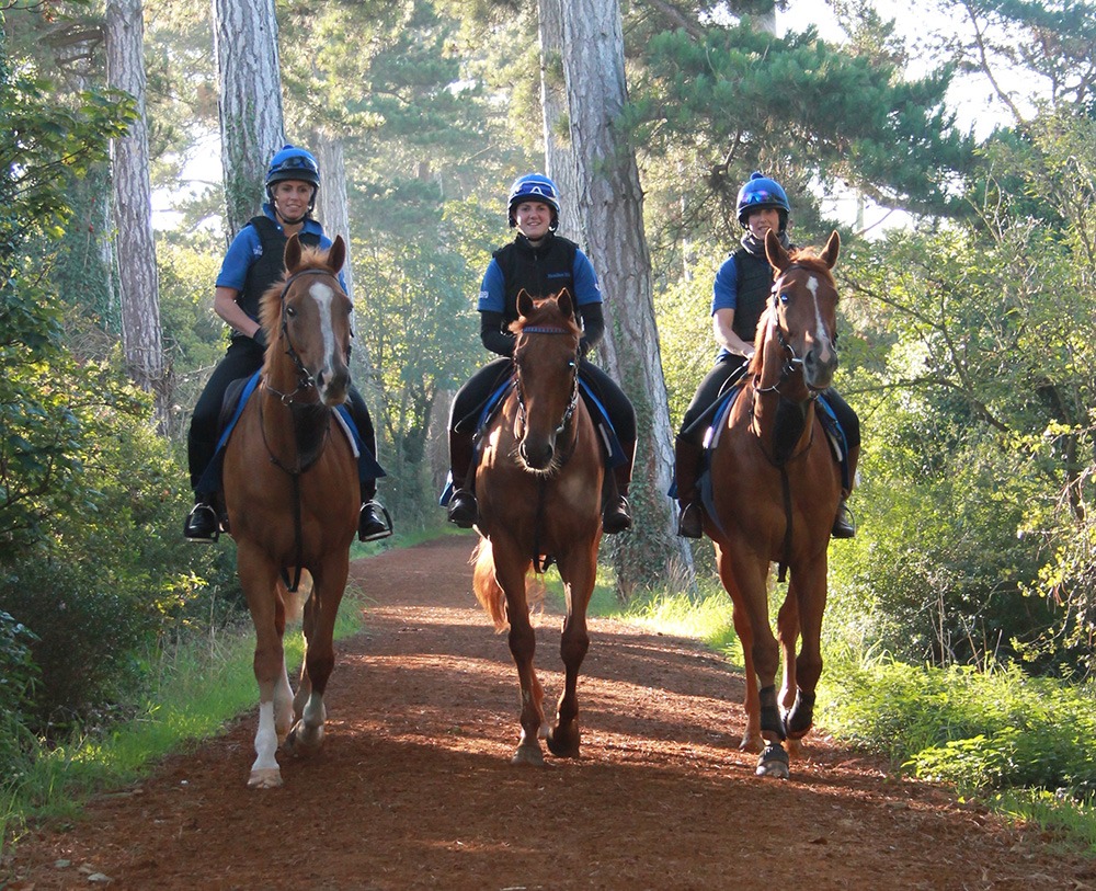 استعدادات مكثفة للخيول "فيلياس وكاسكيديان وبست دايز" لخوض سباق دونكاستر مايل الاسترالي