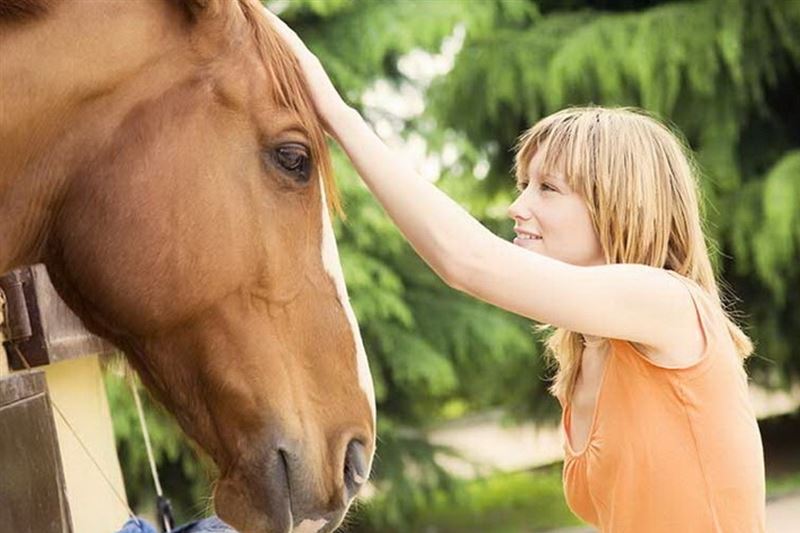 بحث يؤكد امتلاك "الخيول" قدرات عقلية خارقة