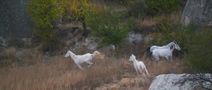 جولة الخيول البرية في أرض كابادوكيا الصخرية في تركيا