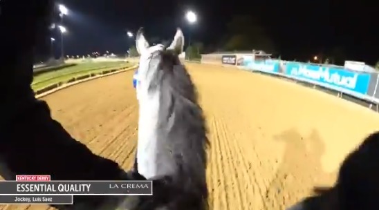 بالفيديو.. لحظة تدريب الحصان اسنشيال كوالتي للاستعداد لسباق كنتاكي ديربي