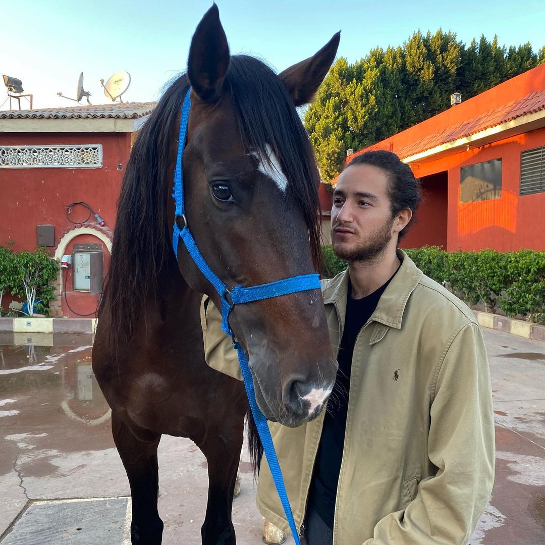 بالأسماء والصور.. حضور مكثف للخيول في مسلسلات رمضان 2021