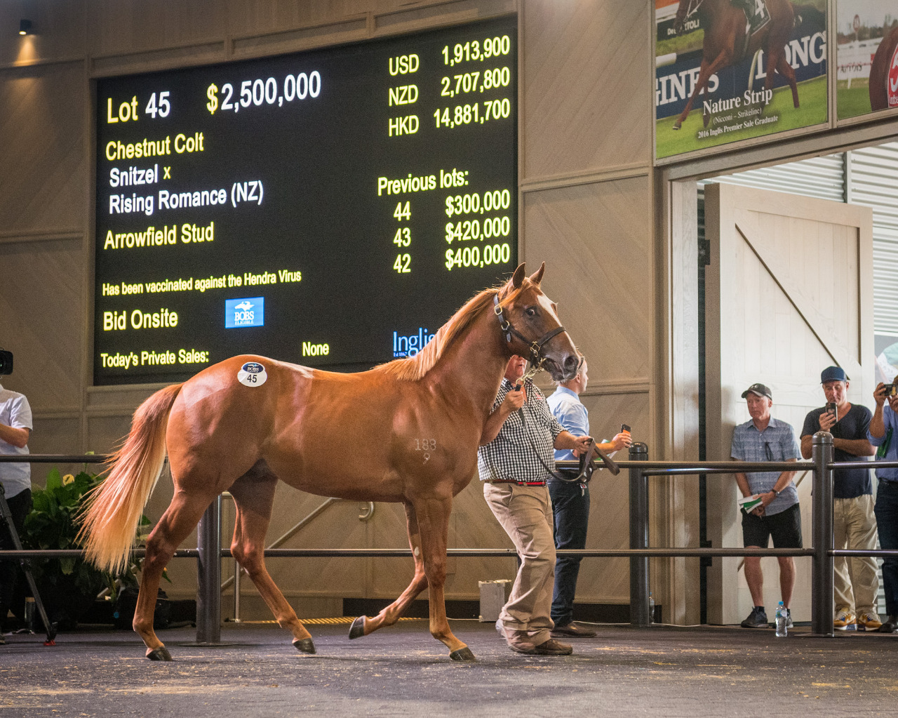 مزاد Inglis للخيول يسجل مبيعات فوق 64 دولار استرالي في يومه الأول