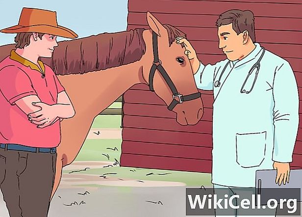 بالرسوم.. كيفية علاج مشاكل عين الحصان