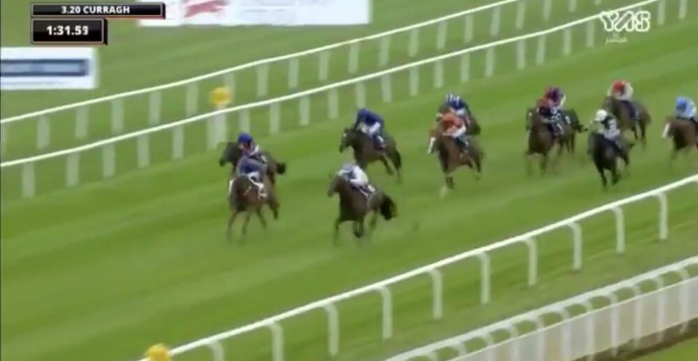 بالفيديو.. الحصان ماك سويني بطل سباق الـ 2000 جينيس الأيرلندي