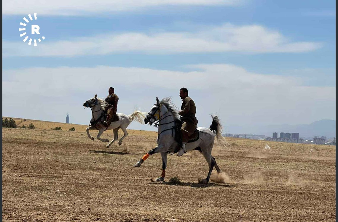 بالصور.. مشاركة ١٠٠ حصان في مهرجان الفروسية في العراق