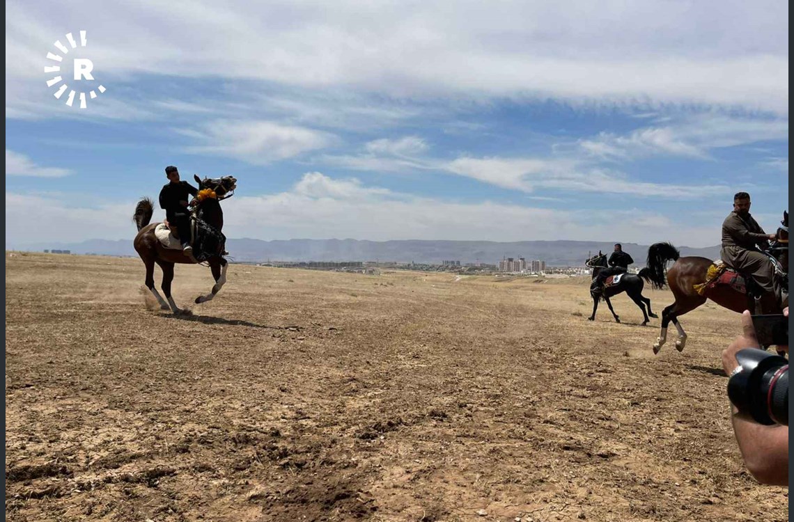 بالصور.. مشاركة ١٠٠ حصان في مهرجان الفروسية في العراق