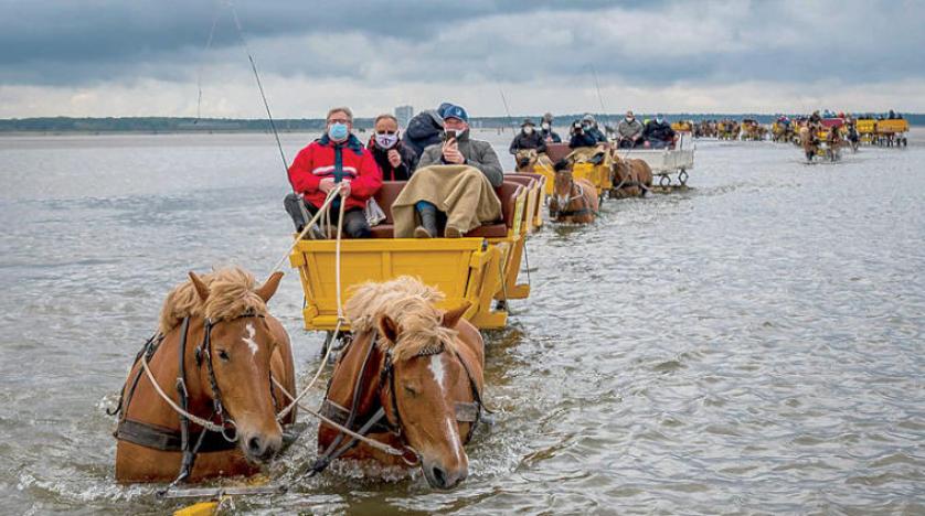 مسطحات مائية تعيق سير عربات الخيول في إلمانيا