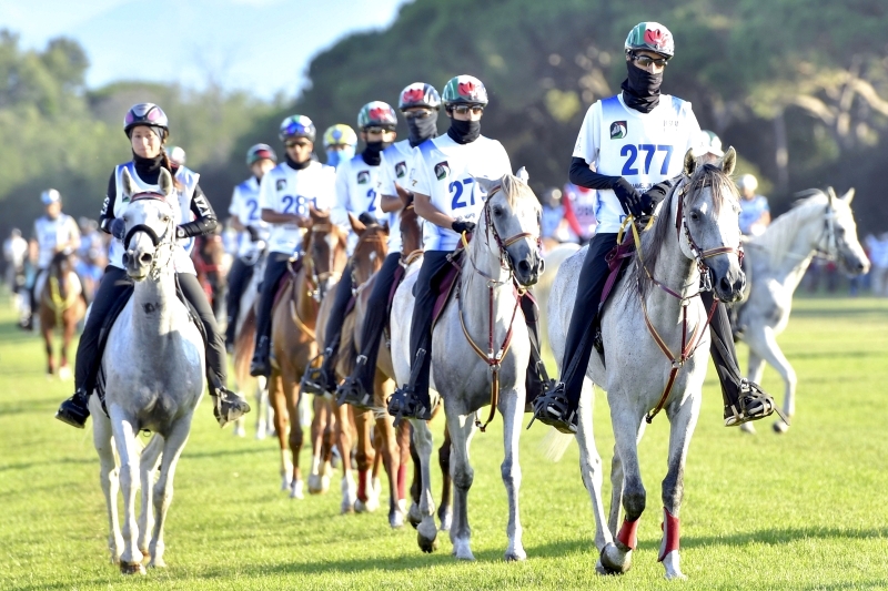 غياب حكام الإمارات عن بطولة العالم لقدرة الخيول للمرة الثانية على التوالي