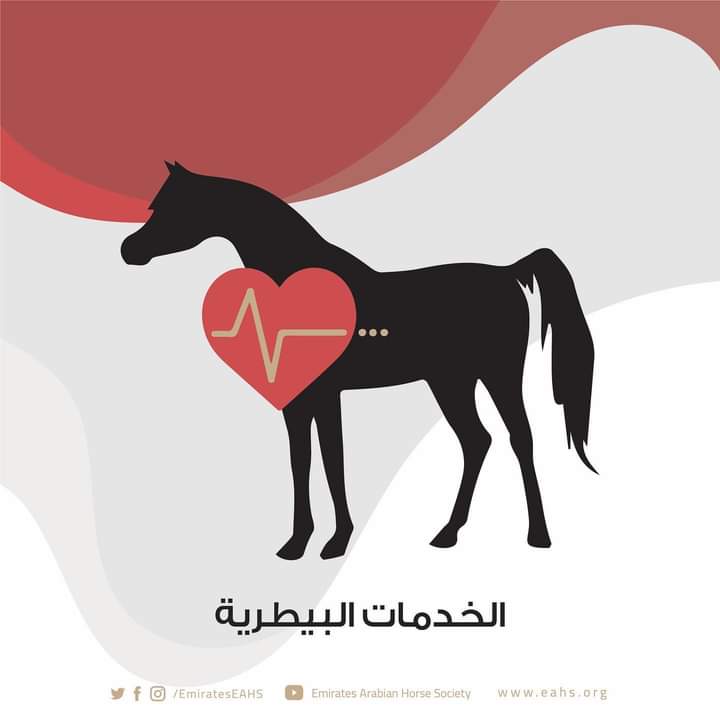 جمعية الإمارات تقدم الخدمات البيطرية لملاك ومربي الخيل العربية