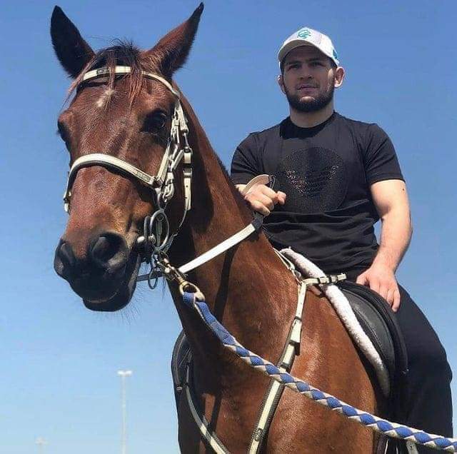 "صورة".. بطل الفنون القتالية حبيب نور يمتطي صهوة حصانه