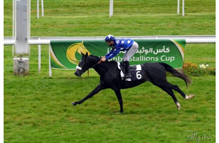 الحصان "محرم" يقتنص الفوز في سباق كأس الوثبة ستالونيز بفرنسا