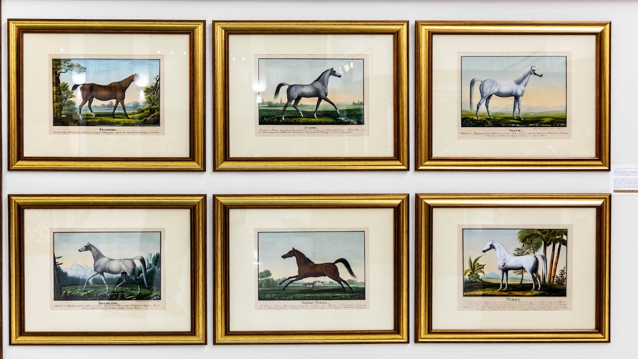 6 لوحات عن جمال الخيول العربية الأصيلة في معرض مجموعة الدوق بالإمارات