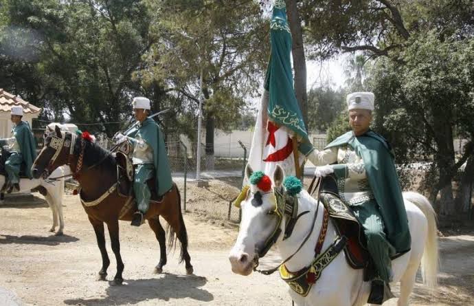 خيول الحرس الجمهوري في الجزائر تساهم في تداوي أطفال التوحد