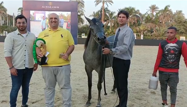 المهرة نواف النايف تفوز بالمركز الأول في بطولة مراسم رباب للخيول العربية المصرية الأصيلة