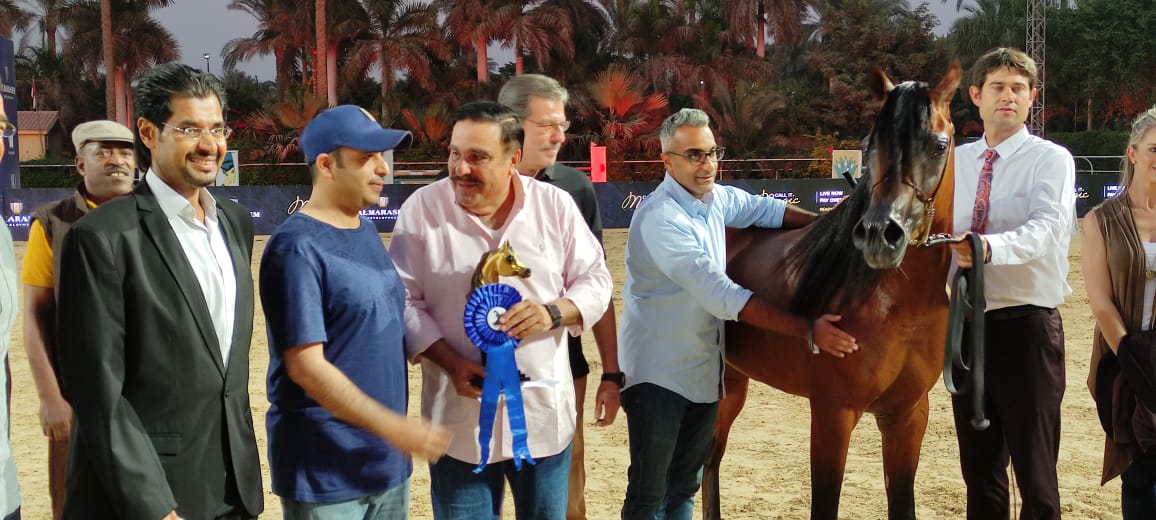 فخر البوادي يبهر لجنة تحكيم بطولة رباب لـ جمال الخيول ويفوز بالمركز الأول لعمر ٣ سنوات