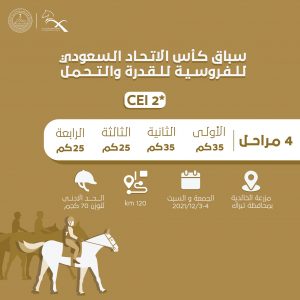انطلاق بطولة القدرة والتحمل بالسعودية في الرابع من ديسمبر المقبل بمشاركة حمدان الكتبي