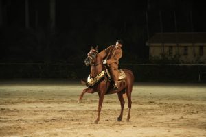  ٤٠ صورة توثق بطولة مصر الدولية لأدب الخيول ٢٠٢١