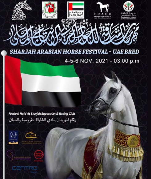 إنطلاق مهرجان الشارقة للجواد العربي في 4 نوفمبر