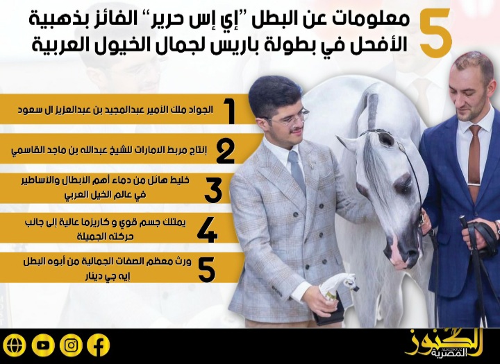 ٥ معلومات عن "إي إس حرير" الفائز بالذهبية في بطولة باريس لجمال الخيول العربية (انفوجراف)