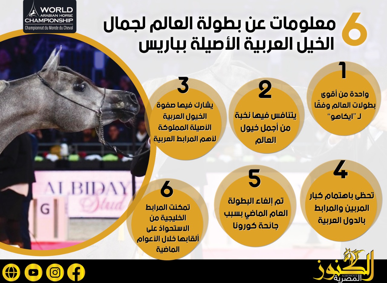 6 معلومات عن بطولة العالم لجمال الخيل العربية الأصيلة بباريس (انفوجراف)