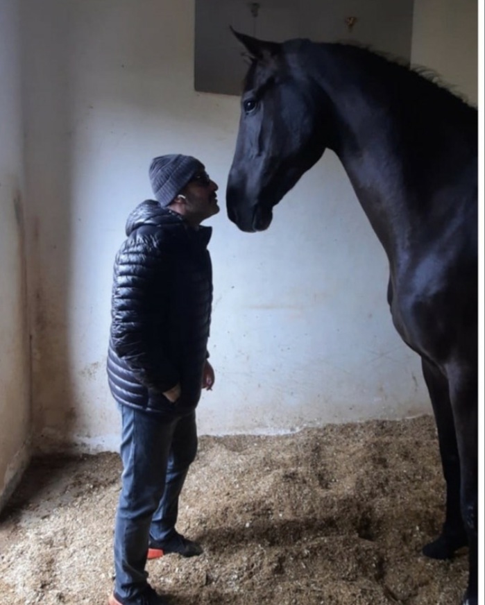 أحمد السقا في "صورة" مميزة برفقة حصانه الألماني