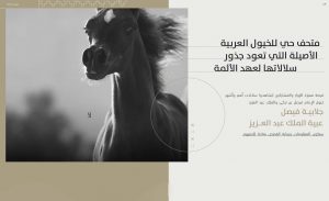 افتتاح متحف للخيل ضمن فعاليات المهرجان السعودي للجواد العربي