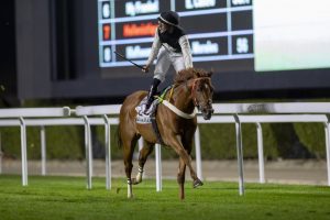 الحصان ستار اوف ونز بطلاً للنسخة الأولى لكأس الأمير خالد بن عبدالله